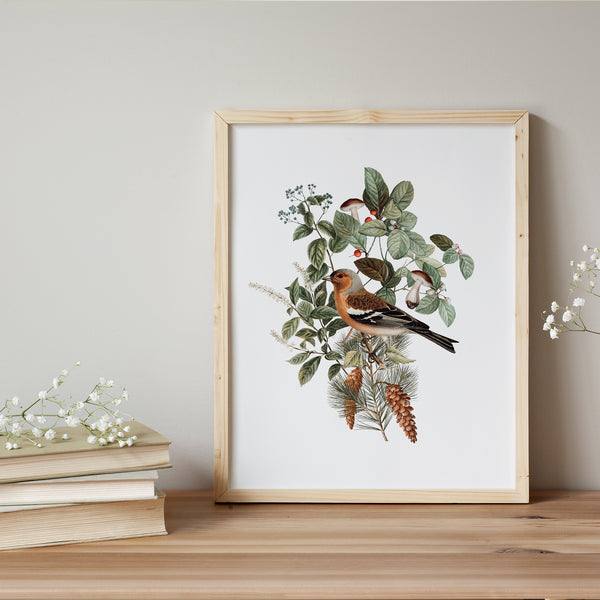 Oiseaux Champignons Botanique vintage Art Print - TÉLÉCHARGEMENT NUMÉRIQUE - WOODLAND 3