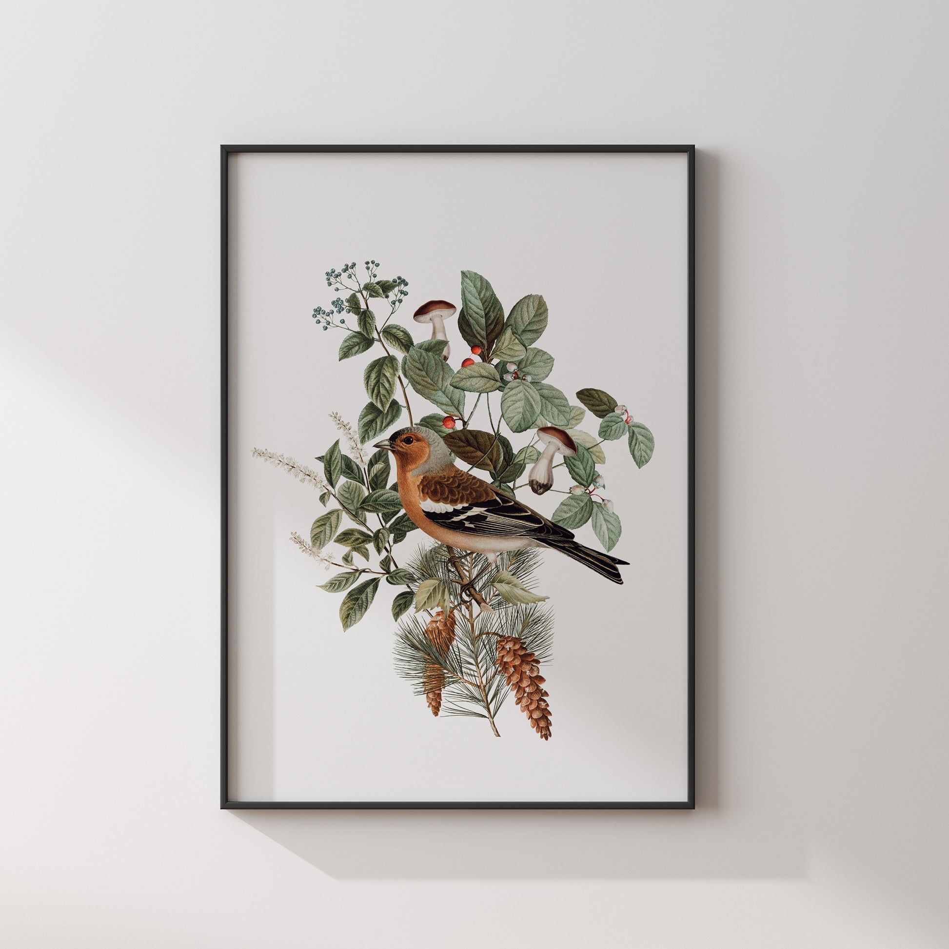 Oiseaux Champignons Botanique vintage Art Print - TÉLÉCHARGEMENT NUMÉRIQUE - WOODLAND 3