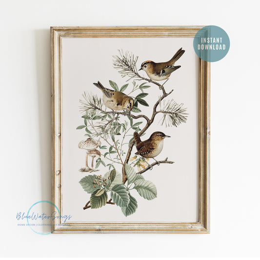 Birds Mushrooms Botanical Vintage Art Print - DIGITAL DOWNLOAD - WOODLAND