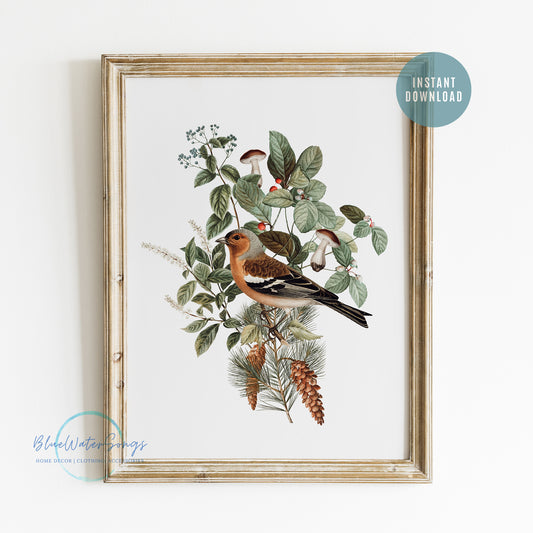 Birds Mushrooms Botanical Vintage Art Print - DIGITAL DOWNLOAD - WOODLAND 3