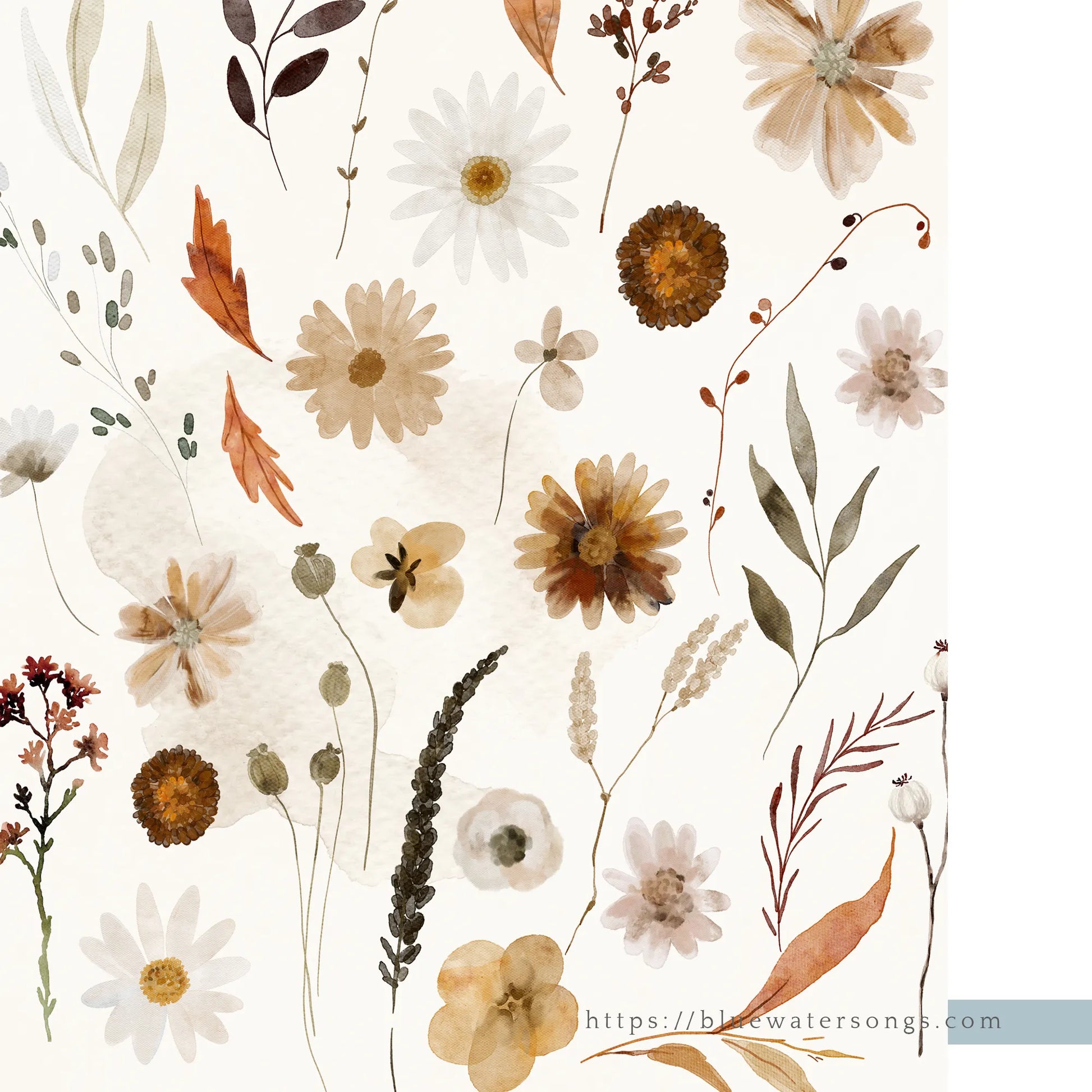 close up of Wildflowers Autumn Art Prints – Digital Download from Blue Water Songs