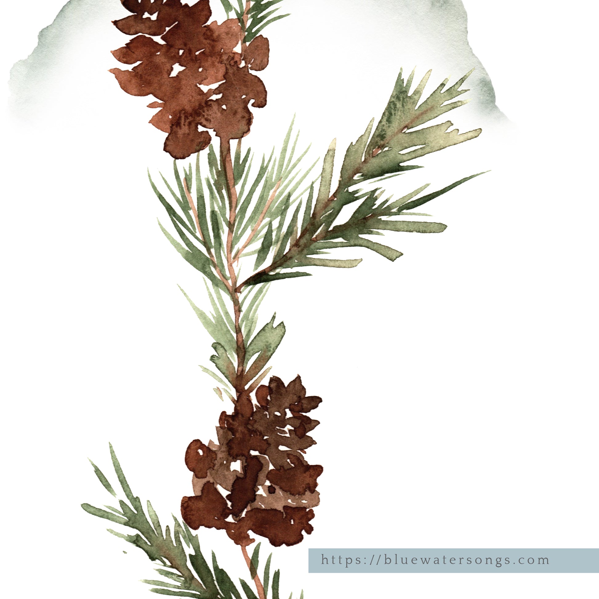 Watercolor Pine Tree - DIGITAL DOWNLOAD | winter22_04