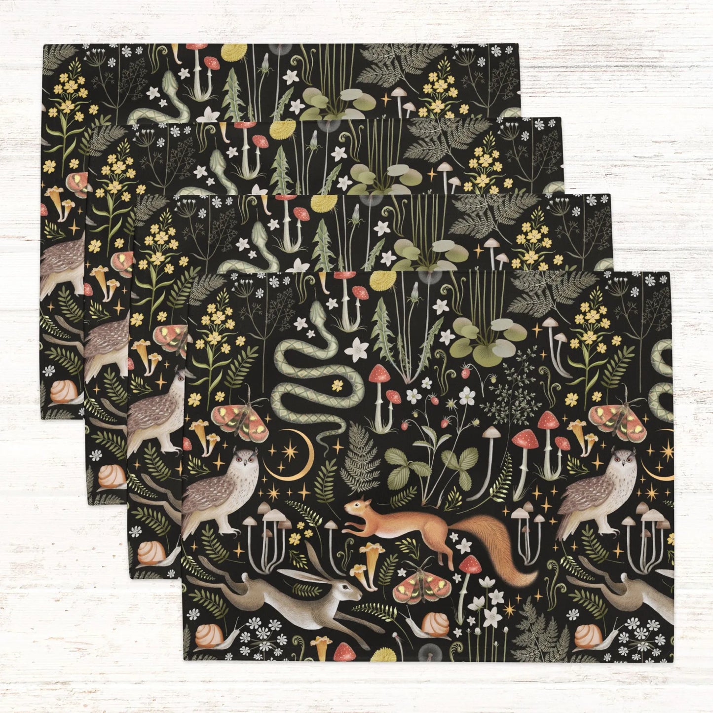 Magic Forest PLACEMATS from Blue Water Songs set of 4