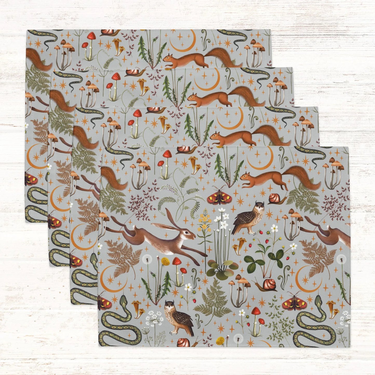 Magic Forest PLACEMATS from Blue Water Songs - set of 4