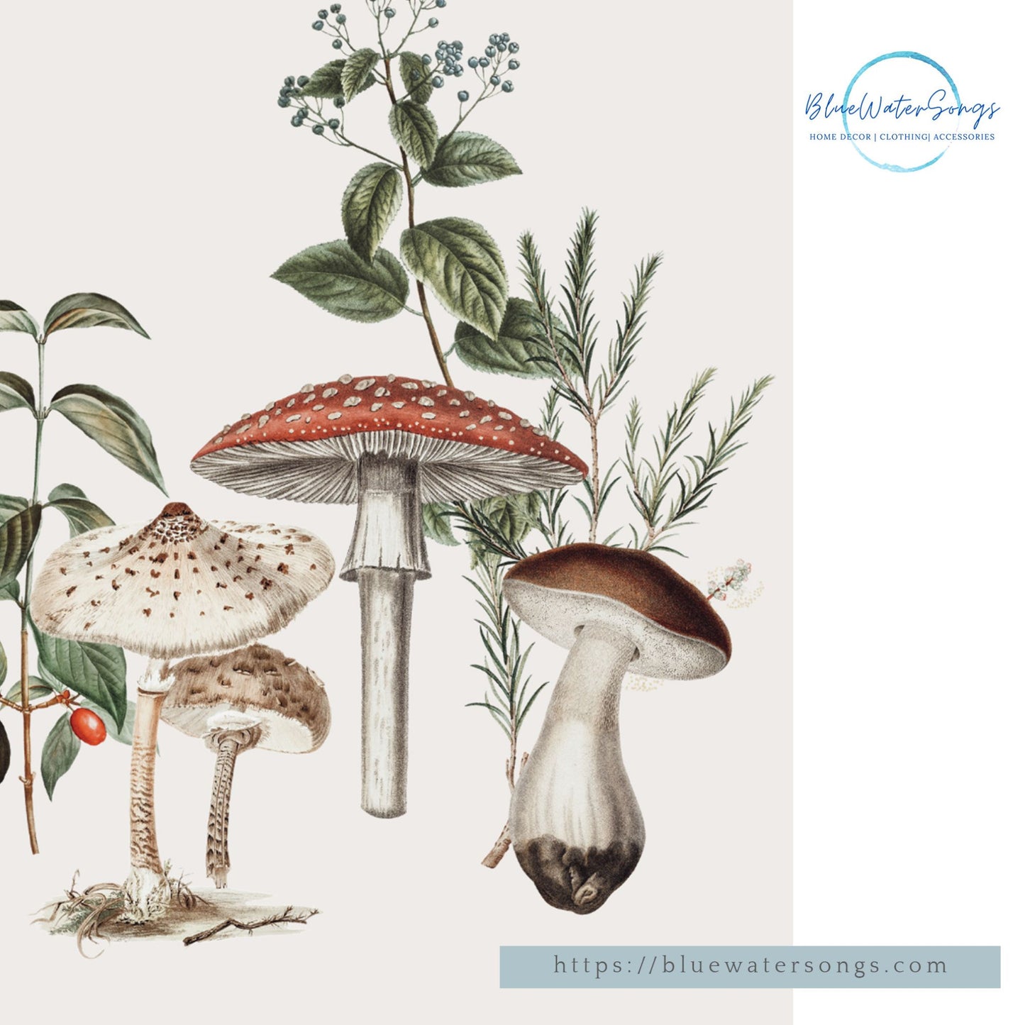 Champignons Botanique vintage Art Print - TÉLÉCHARGEMENT NUMÉRIQUE - WOODLAND 7