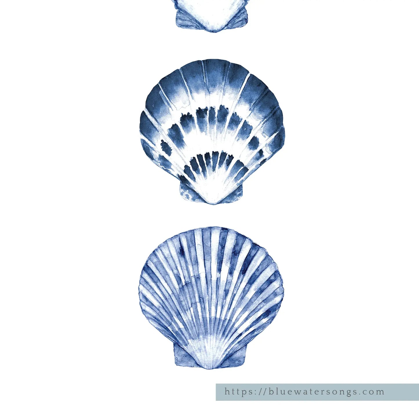 Close-up watercolor blue seashells digital artwork, minimalist coastal wall art with Blue Water Songs branding, perfect for beach house or summer decor.